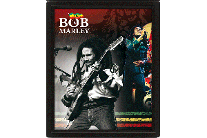 EPPLA70046(3D海報含框架 Bob Marley 鮑勃·馬利 )