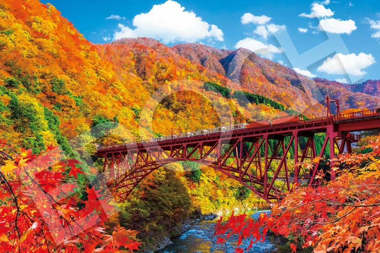 09-053S(1000片富山風景 秋季天氣中的峽谷和電車)