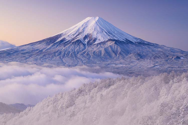 10-1453(1000片 山梨縣 從白雪皚皚的光峠看富士山)